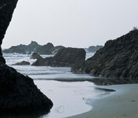 La formacin de la costa Pacfica est ntimamente relacionada con el surgimiento de la cordillera de los Andes, que en Colombia es relativamente joven -unos 25 millones de aos-.