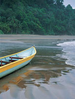 Las playas del Pacfico son ecosistemas que han sido moldeados por el movimiento del agua, el viento y los aportes de sedimentos arrastrados por los numerosos ros que all desembocan. Atardecer en Barbacoas, Nario.