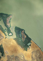 Manglar de borde en baha Portete en La Guajira, uno de los lugares ms ridos del pas.