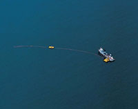 El golfo de Morrosquillo ofrece grandes posibilidades de desarrollo econmico. Las playas de arenas blancas de Tol, el archipilago de San Bernardo y Coveas, son el principal atractivo turstico de la regin. Coveas es tambin la terminal del oleoducto