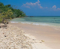 En la baha de Cartagena se encuentran playas con arenas de diversos tipos. Playa con arenas de origen coralino en las islas del Rosario.