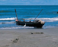 En las cercanas de la baha se encuentran varias cinagas, donde estn mejor conservadas la fauna y la flora.