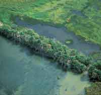 La extensa llanura de inundacin forma diferentes ecosistemas de sabanas hmedas y de humedales.