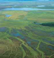 Paisaje de la llanura elica.