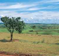 Regin de contacto entre la altillanura plana y la disectada o colinada. Alto de Menegua, Meta.