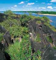 Bloque de roca grantica del escudo Guayans, cubierta por material xerfilo.