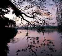 Atardecer en el ro Arauca.