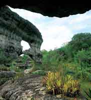 Rocas profundamente erosionadas de la serrana de La Lindosa, al sureste de San Jos del Guaviare.