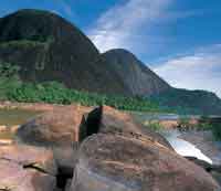 Un bosque bajo y achaparrado sobre suelos arenosos rodea los cerros de Mavecure.