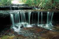 El viento y el agua han tallado formas caprichosas en los sustratos blandos de areniscas de la serrana de La Lindosa.