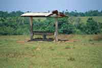 Saladero para el ganado.