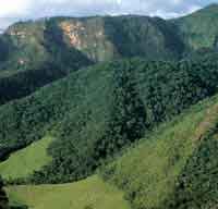 La deforestacin y la ganadera avanzan sobre las selvas del Parque Nacional Natural Serrana de La Macarena, con la consecuente prdida de biodiversidad y recursos genticos