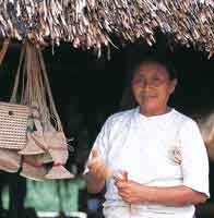 La diversidad tnica y cultural de la Orinoquia es el producto de su origen y de la variedad de climas y de ambientes  que tiene esta gran cuenca
