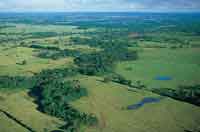 Sabanas secas y mata de monte o bosques de galera de la altillanura.