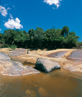 Afloramiento de roca grantica en el cauce del ro Orinoco. El bosque de ribera alcanza poco desarrollo sobre este sustrato de suelos arenosos y pobres en nutrientes.