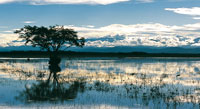 En un paisaje extenso y plano, la escasa pendiente y la alta precipitacin, fueron factores claves en la formacin de los ecosistemas de llanura de inundacin.