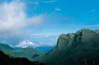 Formacin de caones profundos hacia la vertiente del Llano.