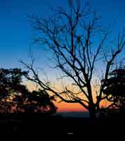 Las pocas ms secas del pasado, produjeron cambios significativos en la vegetacin.