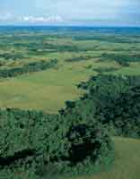 Altillanura plana con bosques de galera.