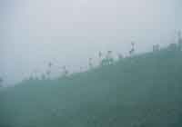 Ambiente con niebla.