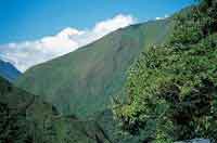 En este mismo can, las montaas han sido sometidas a fuertes disturbios por accin del fuego y la deforestacin; en ellas predomina la vegetacin de pastizales.