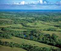 Planicie de inundacin en el ro Meta.