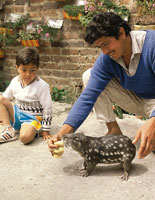 La guagua de pramo, Agouti taczanowiski, es una especie de fauna de la alta montaa, fcilmente domesticable.