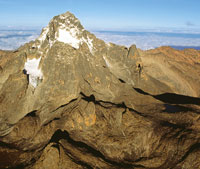 En el Monte Kenia los pisos altitudinales presentan notorias equivalencias de vegetacin y formas de vida con los Andes tropicales. A partir de los 2.500 m de altitud, sobre los bosques de bamb, aparecen extensos matorrales de ericceas con rododendros q