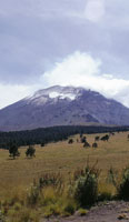 Volcn Popocatpetl, Mxico. Los extensos pajonales conocidos como zacatonal se encuentran en el lmite norte de la zona tropical; por esta razn tienen una gran influencia climtica y florstica de la zona subtropical.