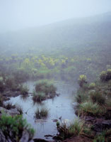 Dos aspectos de la laguna de Iguaque, en un mismo da.