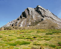 Antigua laguna de origen glaciar en la Sierra Nevada del Cocuy, actualmente colmatada por los sedimentos y cubierta por cojines de Plantago rigida y Distichia muscoides. Por su suelo pantanoso e inestable, este tipo de hbitat recibe el nombre de temblade