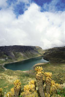 Paisaje de la laguna Verde, en el Parque Nacional Natural de los Nevados, cerrada en el fondo por el flujo de grandes coladas de lava volcnica, que en el pasado contribuyeron a su formacin.