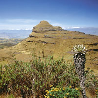 Pramo de Ocet, Boyac.