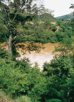 El ro Magdalena antes de llegar a los rpidos de Honda.