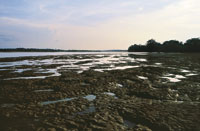 La acumulacin de limos, arenas y arcillas ha dado origen al paisaje de planicie.