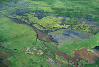 La depresin Momposina y la regin de la Mojana, por recibir aportes del Magdalena, el Cauca, el San Jorge y el Cesar, son reas muy importantes para la regulacin fluvial y lacustre en el Bajo Magdalena.