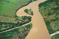 Las actividades productivas, asociadas a la ganadera y a la agricultura, condujeron a la desaparicin de la selva basal.