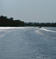 En la actualidad circulan por el Canal del Dique, embarcaciones que transportan principalmente petrleo y carbn y unen la poblacin de Calamar con Cartagena.