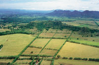El aprovechamiento de la tierra para diversos cultivos ha modificado el aspecto de la cuenca del Magdalena, cuyo aspecto de  mosaico de formas y colores, se puede apreciar desde el aire.