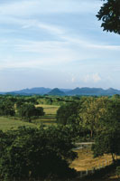 Durante la etapa precolombina, en la colonia y en la actualidad, la mayor parte de la poblacin del territorio colombiano ha derivado su sustento de los ecosistemas de la cuenca del magdalena. El rio ha sido fuente de vida y debe continuar sindolo para b
