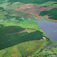 Con el fin de optimizar la produccin agrcola, en muchas zonas cercanas al rio se usan, de manera intensiva, fertilizantes y compuestos qumicos para controlar las plagas.