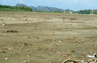 El gran reto para recuperar la navegabilidad del Magdalena, consiste en remover los gigantescos aportes de sedimentos que hay en su curso y rectificar los cauces del rio.