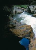 Por eso, para que Srekollimisak vuelva, hay que reconstruir su casa, hay que reconstruir la naturaleza. Hay que reconstruir la casa del Srekollimisak