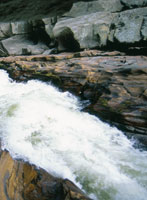 Por eso, para que Srekollimisak vuelva, hay que reconstruir su casa, hay que reconstruir la naturaleza. Hay que reconstruir la casa del Srekollimisak