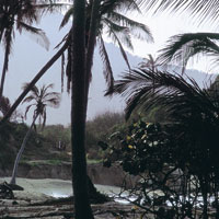 El sueo de El Dorado anim a los conquistadores para buscar una ruta hacia el misterioso sur, a travs de una naturaleza inhspita y desconocida.