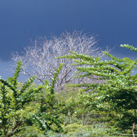 Ante la dificultad de ingresar al Magdalena por el delta, los espaoles se aventuraron a travs de manglares y pantanos, o bordeando la Sierra Nevada hacia el oriente, para encontrar la forma de remontar el esquivo ro.