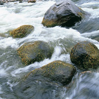 Can del ro Magdalena.