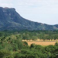 El ro Magdalena nace en el Macizo Colombiano, en las altas cumbres de la cordillera Central y recorre mltiples ambientes como nevados, pramos, bosques andinos, sabanas y valles inundables. Valle medio del Magdalena.
