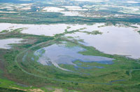 La depresin Momposina se form por el movimiento de placas tectnicas, lo que produjo el hundimiento de la regin, varios metros por debajo del nivel del mar.