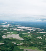 La depresin Momposina se form por el movimiento de placas tectnicas, lo que produjo el hundimiento de la regin, varios metros por debajo del nivel del mar.
